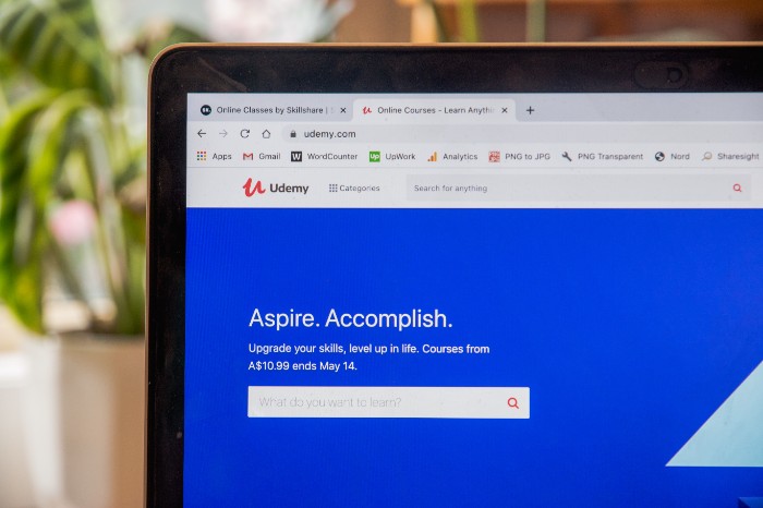 udemy competitors