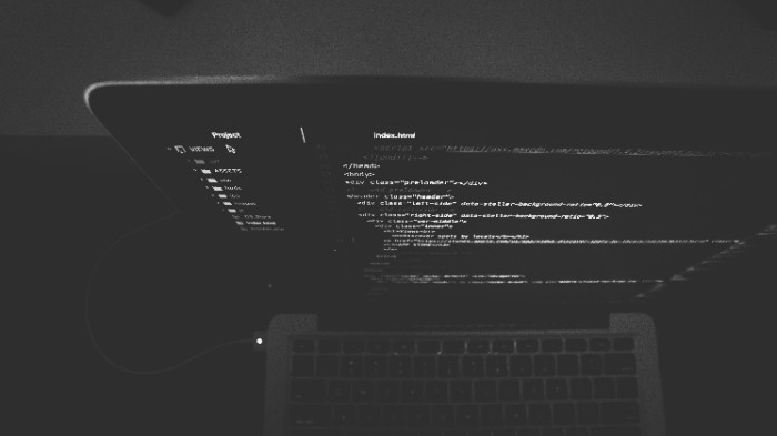 datacamp vs coursera