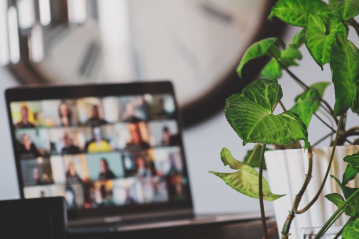 skillshare vs masterclass