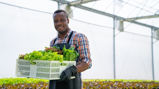 how to become a farmer without experience