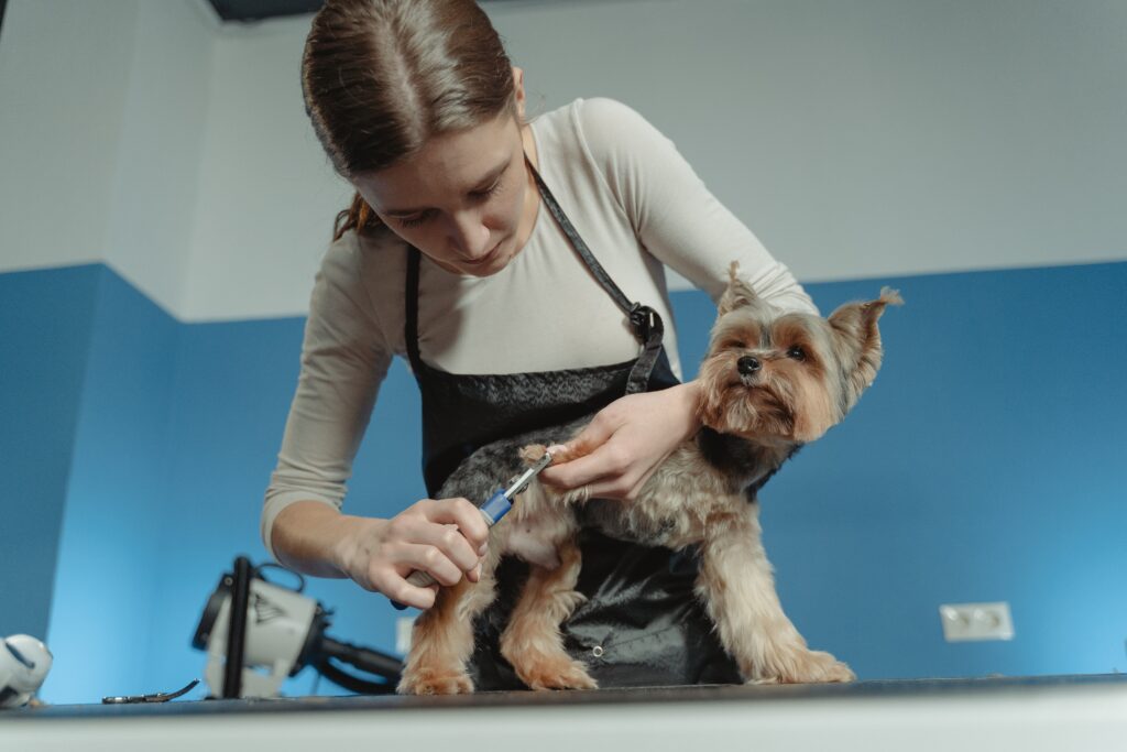 how long does it take to become a dog groomer
