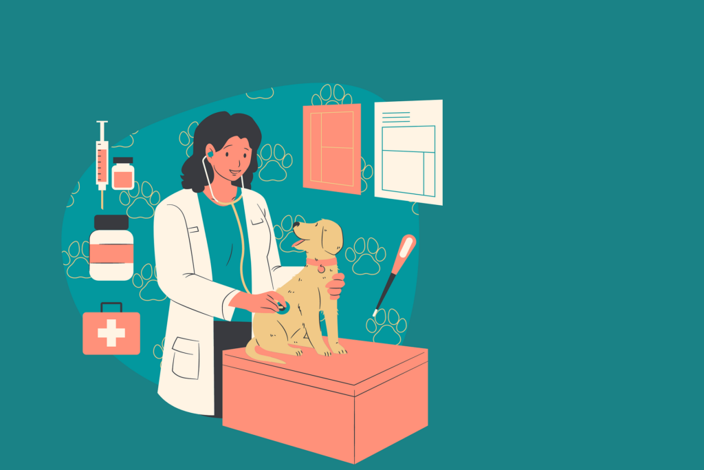 how to become a vet assistant
